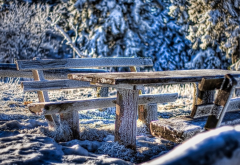 cold, frost, bench, snow, winter wallpaper
