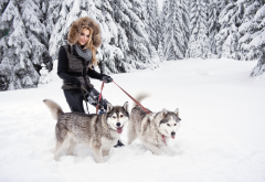 winter, husky, snow, forest, girl, women, fur, dog, animals, smiling wallpaper