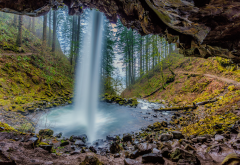 columbia, oregon, river gorge, waterfall, forest, tree, rocks, landscape, nature wallpaper