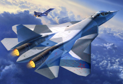 sukhoi pak fa, sukhoi, pak fa, aviation, aircraft, t-50, fifth-generation fighter wallpaper