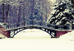 winter, bridge, park, tree, snow, nature wallpaper