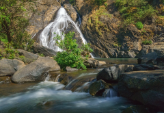 reserve bhagwan mahavir, goa, waterfall, river, nature, india wallpaper