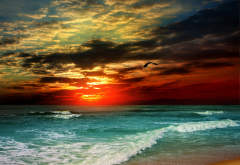 landscape, ocean, sunset, beach, sea, clouds, nature wallpaper