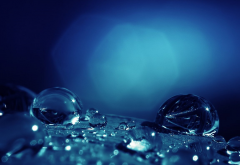 water drops, light, close-up, blue rain, macro wallpaper