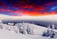 winter, art, graphics, photoshopen, nature, snow, sunset, red sky wallpaper