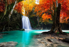 tree, waterfall, nature, landscape, nature, autumn wallpaper