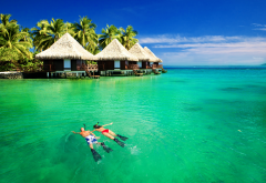 french polynesia, palm trees, people, vacation, holidays, nature, tropics, sea, ocean, water villa, snorkelling wallpaper