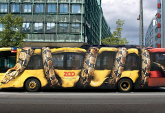 photo, city, bus, graffiti, art, snake, cars wallpaper