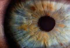 eye, pupil, close-up, macro wallpaper