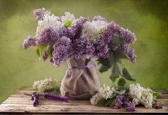 bouquet, lilac, flowers, nature wallpaper