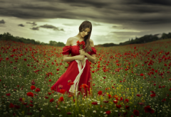 girl, nature, poppies, summer, cloudy, flowers, field, women, red dress, brunette wallpaper