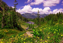 nature, mountains, spring, flowers, clouds wallpaper
