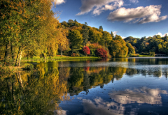 nature, autumn, lake, tree, shore, clouds, reflection wallpaper