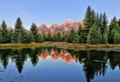 nature, autumn, mountains, forest, tree, sky, reflection, grand teton national park wallpaper