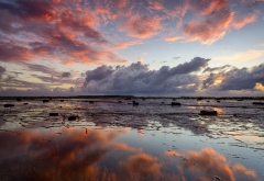 sky, clouds, coast, dawn, reflection, sea, low-tide, beach, nature wallpaper
