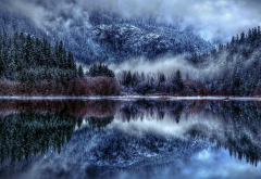 tree, snow, fog, lake, reflection, nature wallpaper