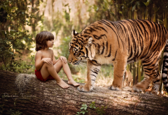 forest, log, child, boy, mowgli, animals, tiger wallpaper