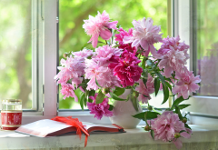 peony, peonies, summer, vase, flowers, book, nature wallpaper