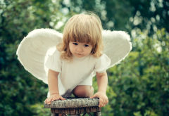 girl, baby, dress, wings, angel, child wallpaper