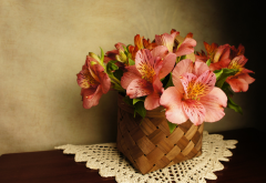 flowers, alstroemeria, basket, napkin wallpaper
