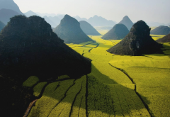 Pyramidal Hills, Luoping, China, green, field, mountain, nature, landscape, Rapeseed Fields wallpaper