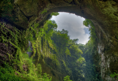 El Yunque, Puerto Rico, nature, landscape, cave, forest, overcast, trees wallpaper