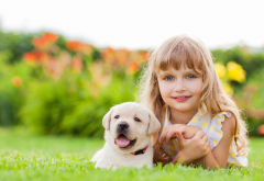 child, girl, animals, dog, puppy, retriever, nature, summer, grass wallpaper