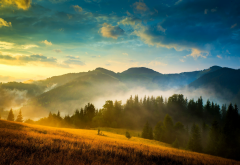 carpathians, ukraine, landscape, mountains, tree, mist, nature wallpaper