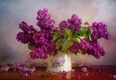 lilac, flowers, bouquet, petals wallpaper