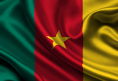 flag, cameroon, flag of cameroon wallpaper