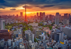 tokyo tower, world, tokyo, japan, city, sunset wallpaper