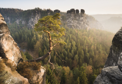 cliff, nature, landscape, tree, mountains, rock, bastei, elbe sandstone mountains, germany, saxon switzerland wallpaper