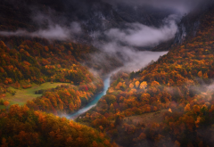 tara canyon, montenegro, tara river, tara, river, autumn, forest, nature wallpaper