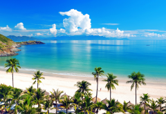 vietnam, sky, sea, beach, palm tree, tropics, summer,  wallpaper