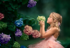 child, girl, dress, nature, summer, flowers, inflorescence, hydrangea wallpaper