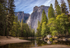 yosemite national park, nature, tree, forest, mountains, river wallpaper