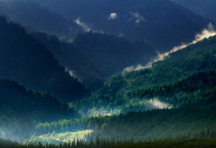 landscape, nature, Carpathians, mountain, mist, forest, spring, green, trees wallpaper