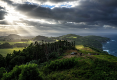 meadow, azores, portugal, landscape, nature, cow, clouds, tree, sea, island wallpaper