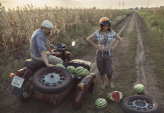 field, road, situation, motorcycle, crash, girl, watermelon, women, busty wallpaper