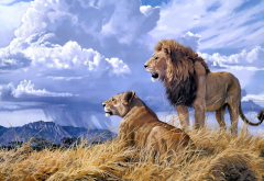 lioness, lion, animals, art, clouds wallpaper