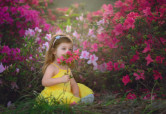 child, girl, baby, nature, summer, flowers wallpaper