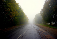 road, tree, fog, horizon, nature wallpaper