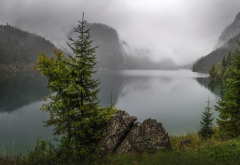 morning, lake, fir, mountains, fog, nature wallpaper