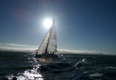 regatta, sea, sailboat, sport, sun, waves, nature wallpaper