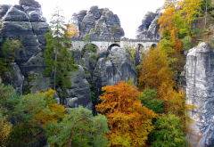 bastei, elbe sandstone mountains, germany, rocks, tree, bridge, autumn wallpaper