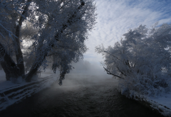 winter, tree, hoarfrost, river, nature, snow wallpaper