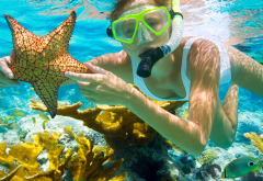 snorkeling, women, sea, sea star, mask, coral, underwater wallpaper