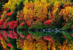 lake, forest, autumn, trees, reflection wallpaper