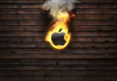 apple, fire, logo, graphics wallpaper