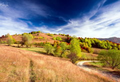 field, hills, tree, sky, autumn, nature wallpaper